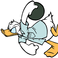 Team Page: Mighty Ducks